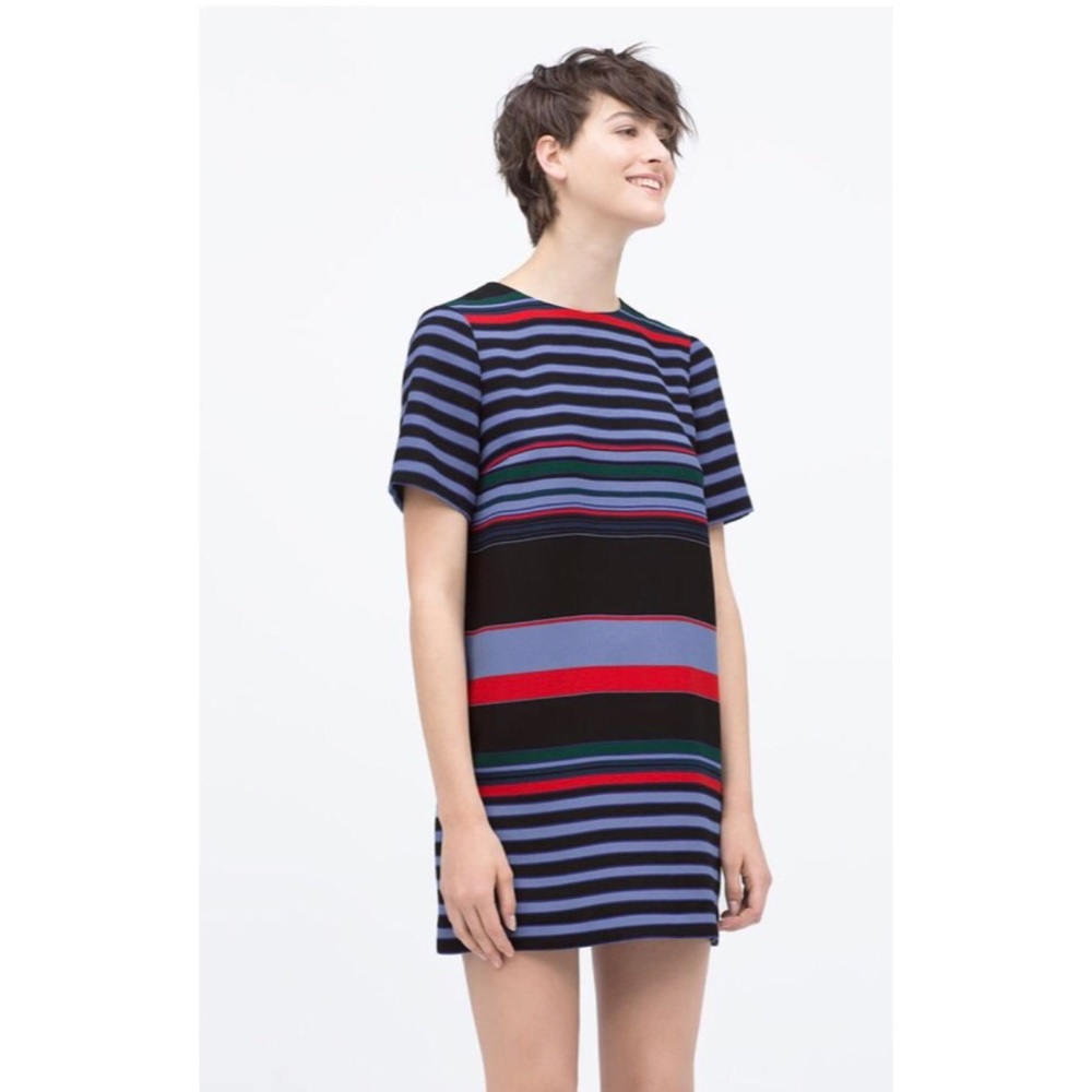 Zara Striped Multi-Colored Mini Dress